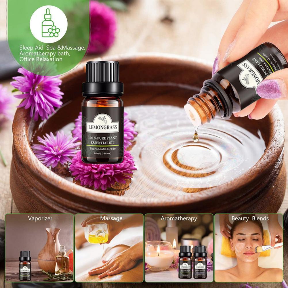 Single Essential Oil Set 10ml Single Essential Oil Plant Aroma Tea Tree Single Essential Oil Set 10ml Single Essential Oil Plant Aroma Tea Tree